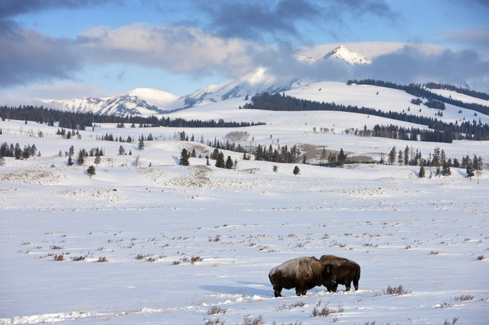 national parks to visit in winter