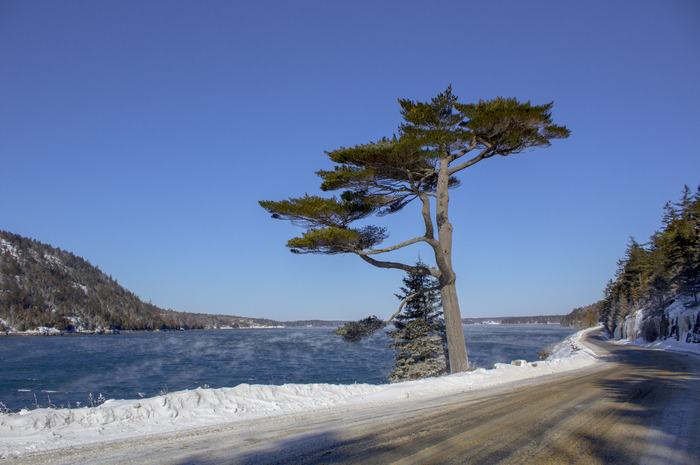 national parks to visit in winter