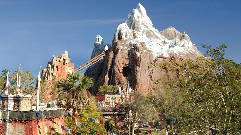 Expedition Everest at Disney's Animal Kingdom