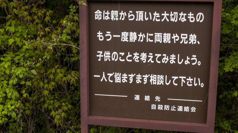 Entrance to Aokigahara Forest