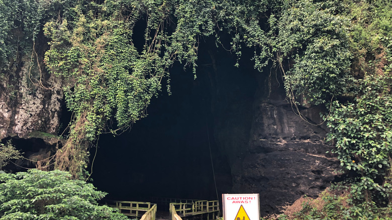 Entrance to Gomantong Caves