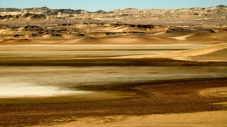 Empty sands of skeleton coast