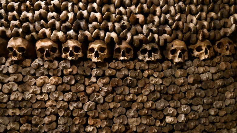 Bone wall in Paris catacombs