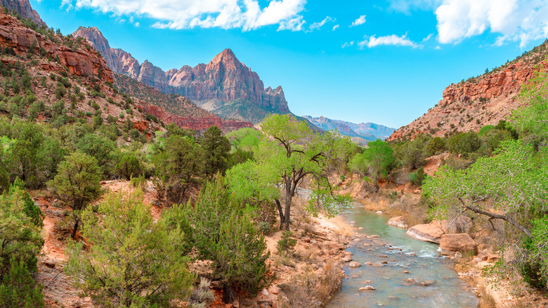 The 3 Best Areas To Stay When Visiting Zion National Park