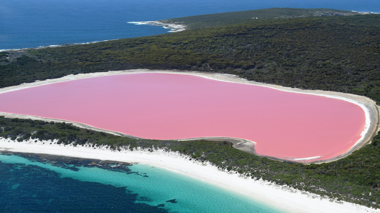 pink Lake Hillier