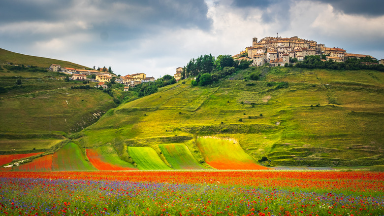 Flowering fields and hilltop town