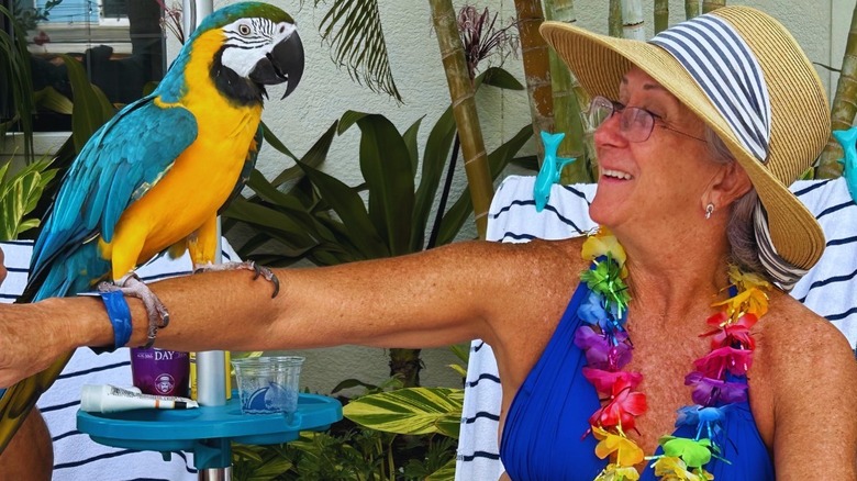 woman with bird at compass hotel