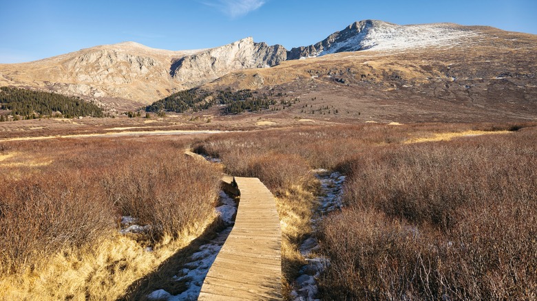 Boardwalk trail on Mt. Bierstadt