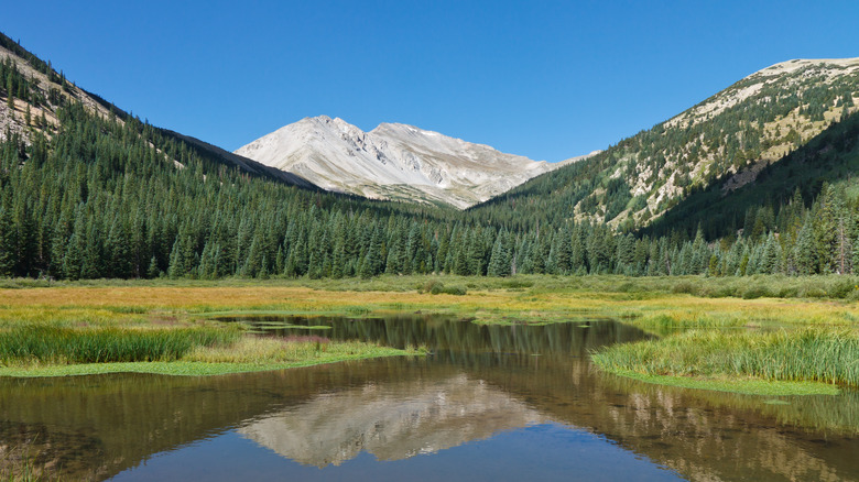 Mount Yale in Colorado