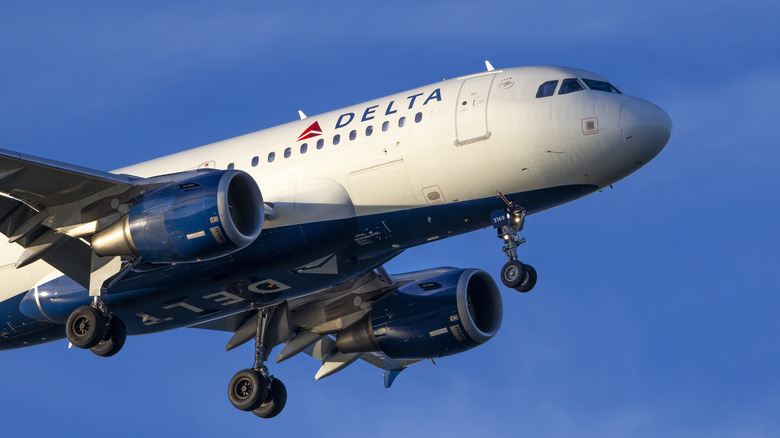 Delta plane inflight