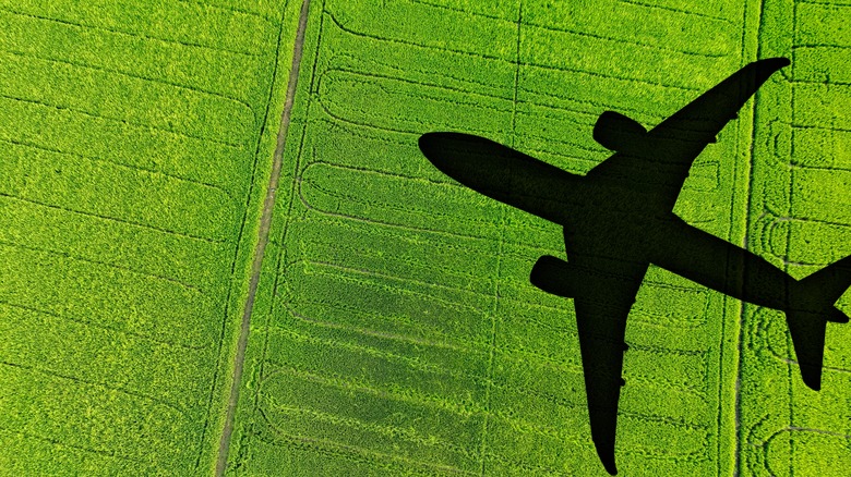 airplane shadow over green grass