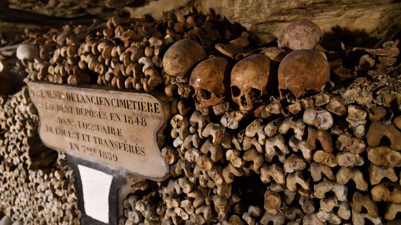 Row of skulls in Paris catacombs