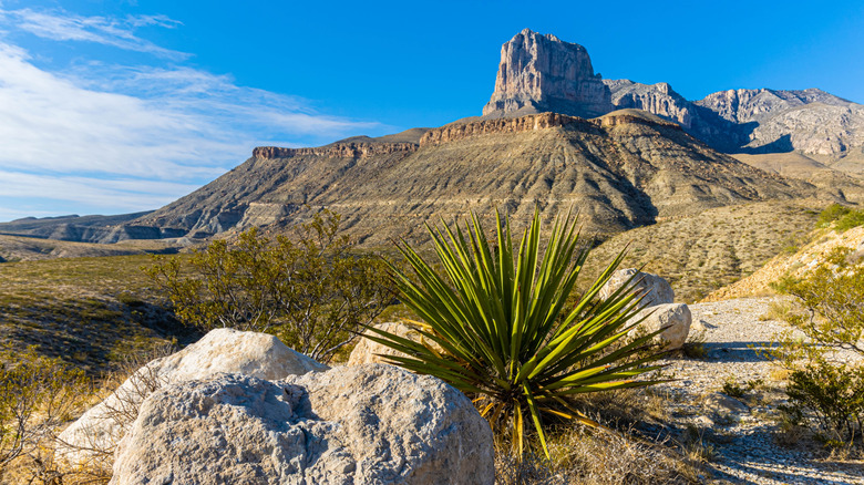 Guadalupe Mountains National Park