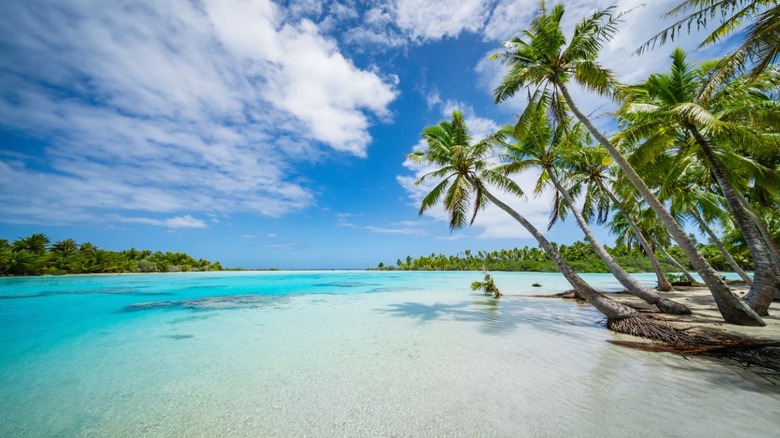 Fakarava beach Polynesia