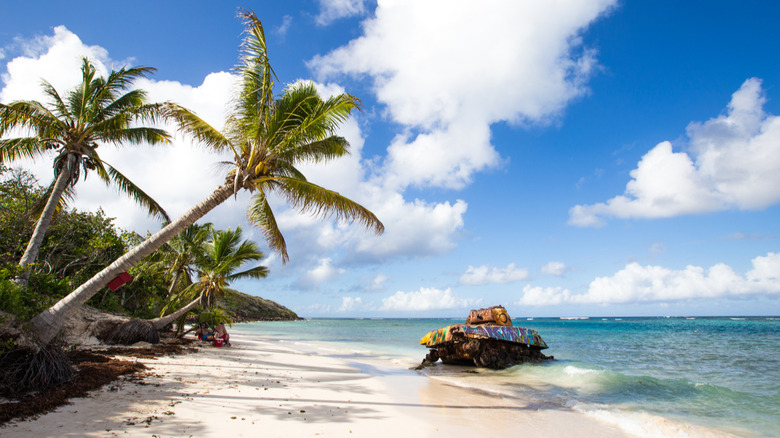 Flamenco Beach with tank