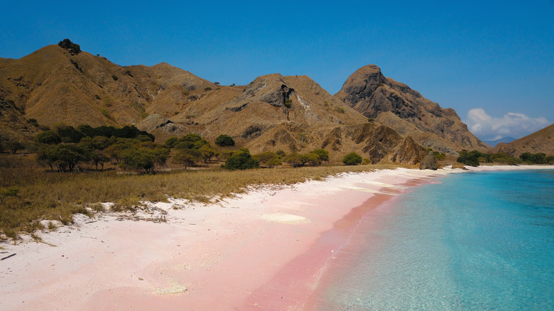 The Pink Beach on Komodo