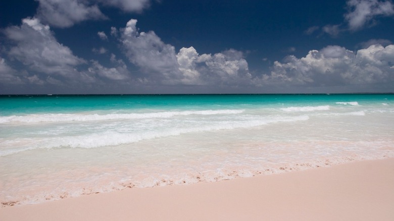 pink sand beach