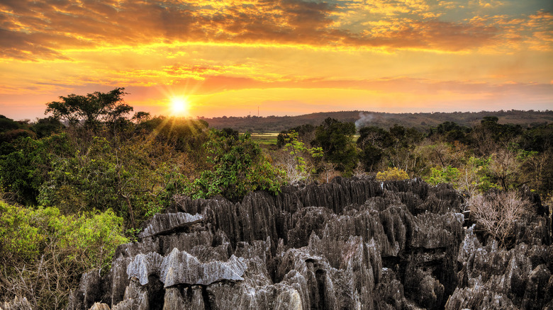 Tsingy de Bemaraha Nature Reserve