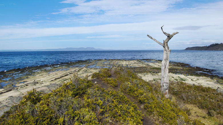 Port Famine, Chile