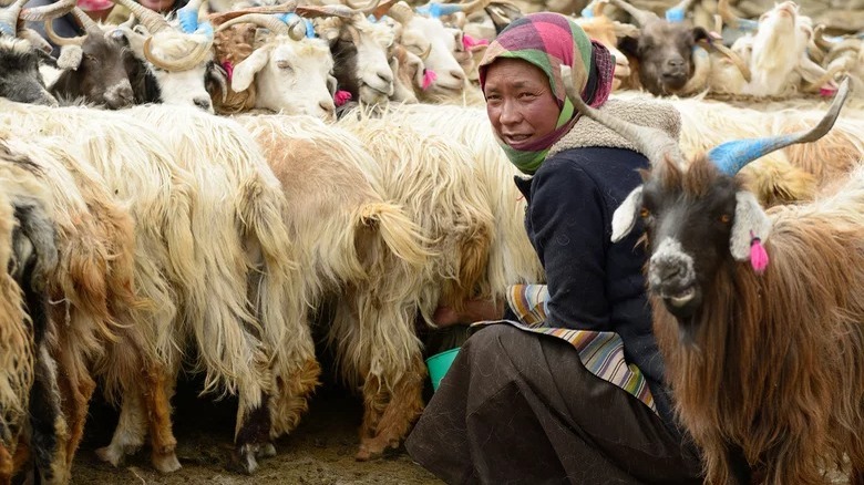 Tibetan Plateau