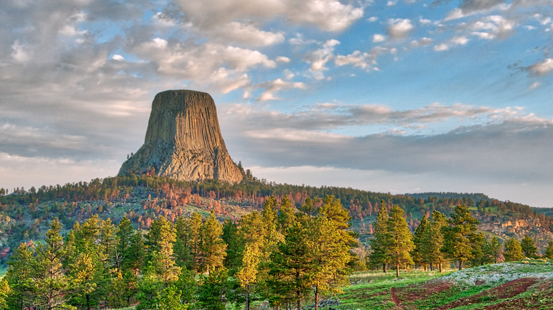 Devils Tower