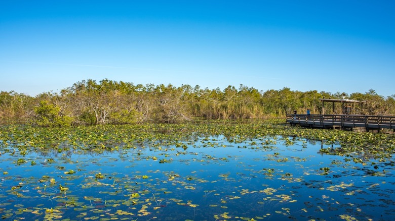 Everglades National Park