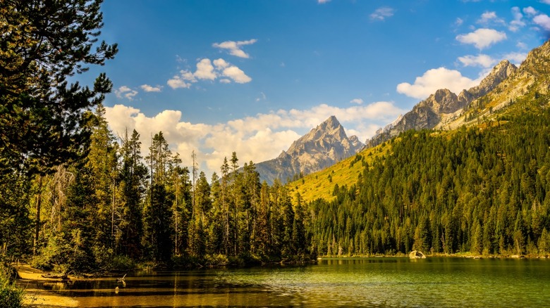 Grand Teton National Park