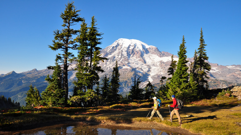 hikers near Mount Rainier