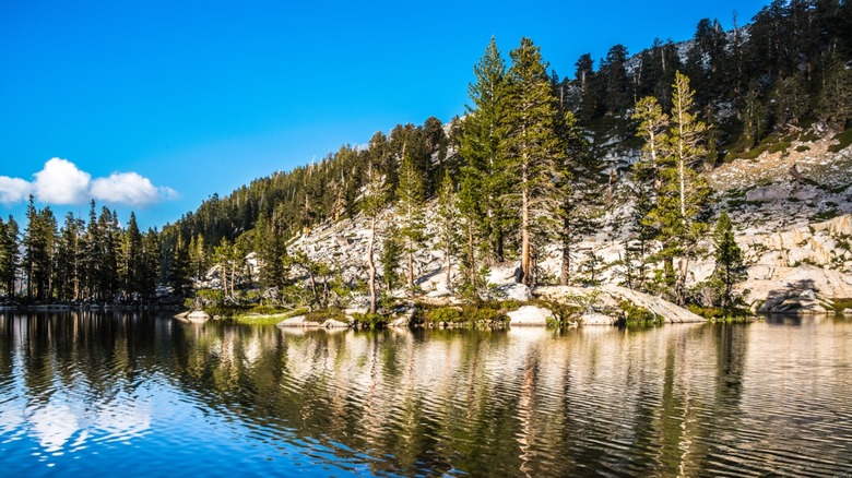 Sequoia National Park