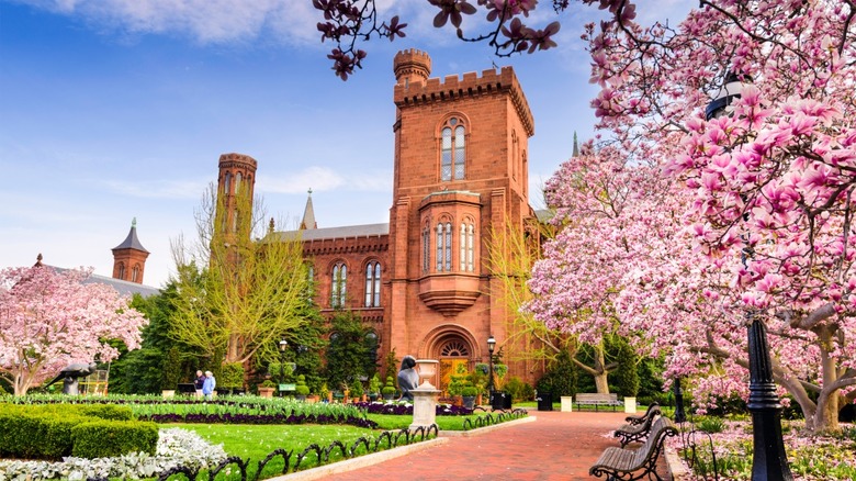 Smithsonian