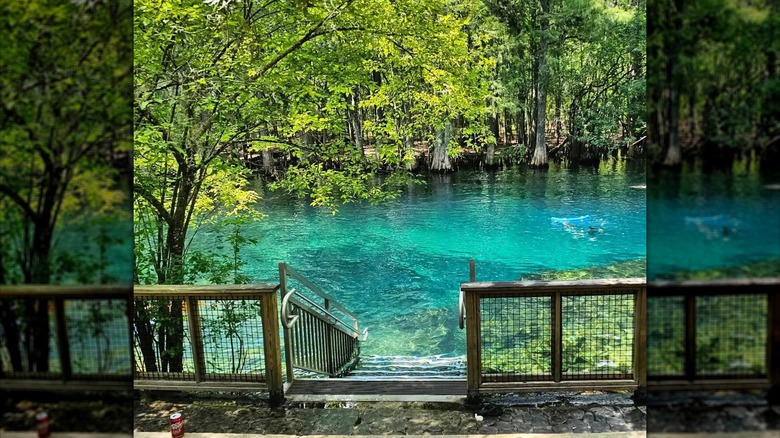 Water at Manatee Springs State Park