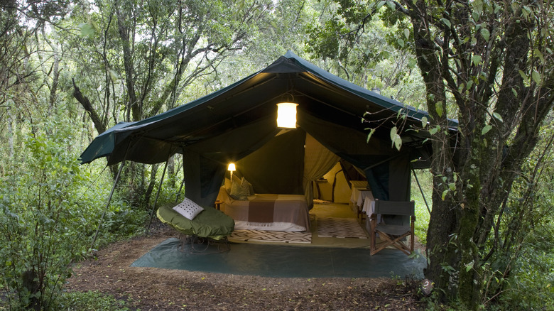 Glamping tent in forest