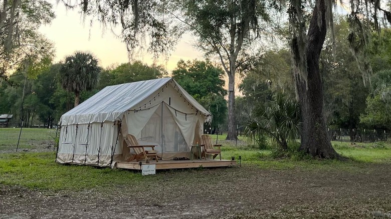 Glamping tent at Wonderfield Farm & Retreat