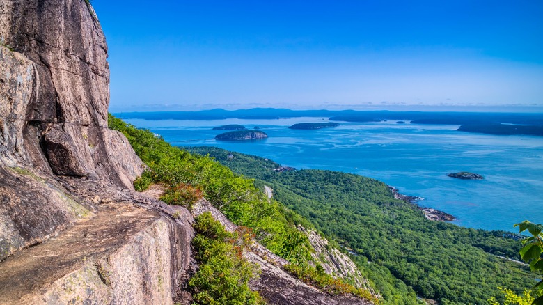 ocean and forest view from mountain