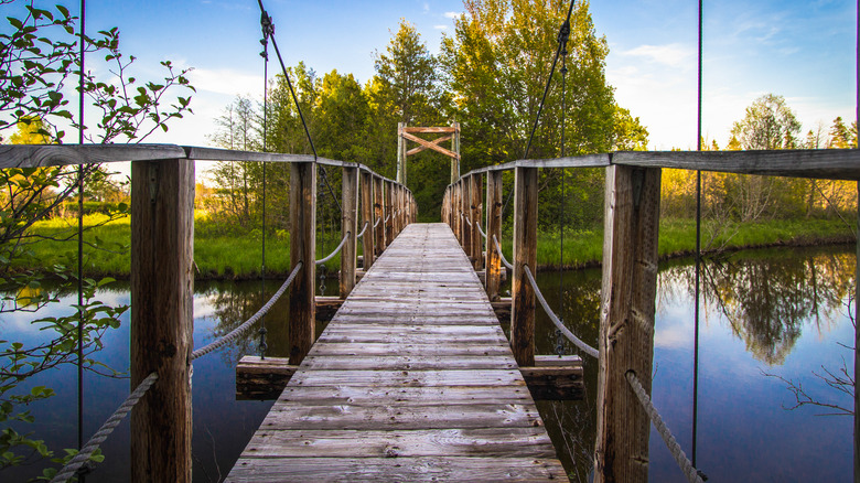 wooden bridge into forest