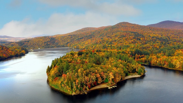 aerial view of changing forest and water