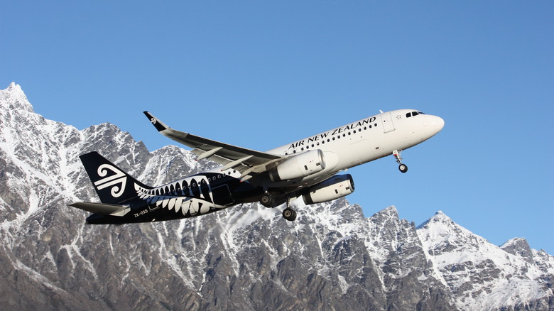 Air New Zealand flight