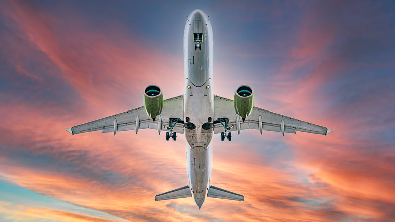 airplane flying at sunset