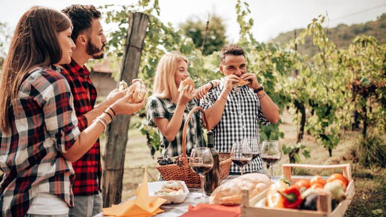 Friends eating in a vineyard