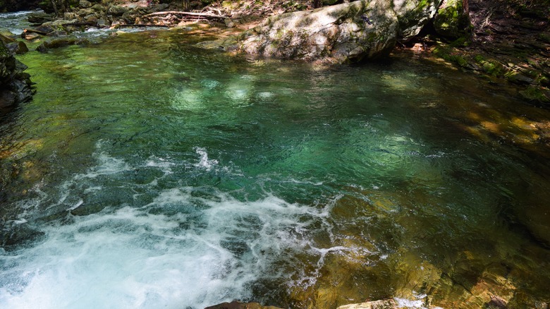 The Devil's Bathtub swimming hole in Virginia