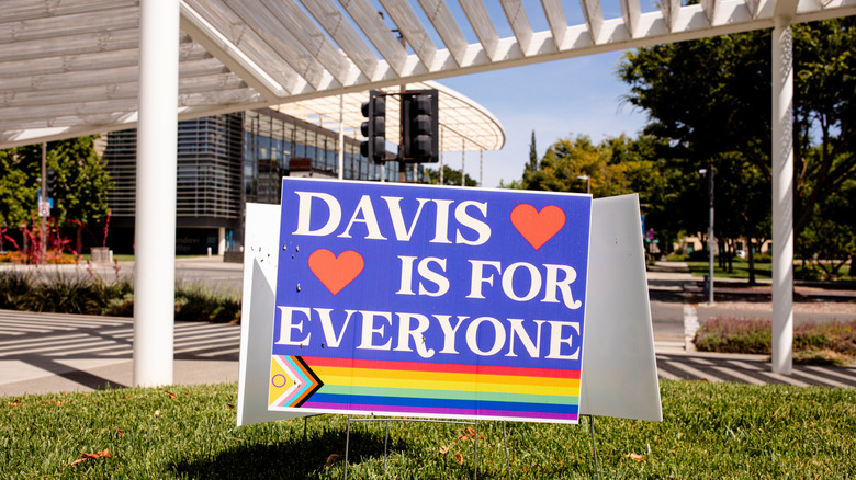 A rainbow sign reads, "Davis is for everyone."