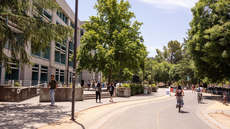 Cyclists ride down a dedicated bike path in Davis, California