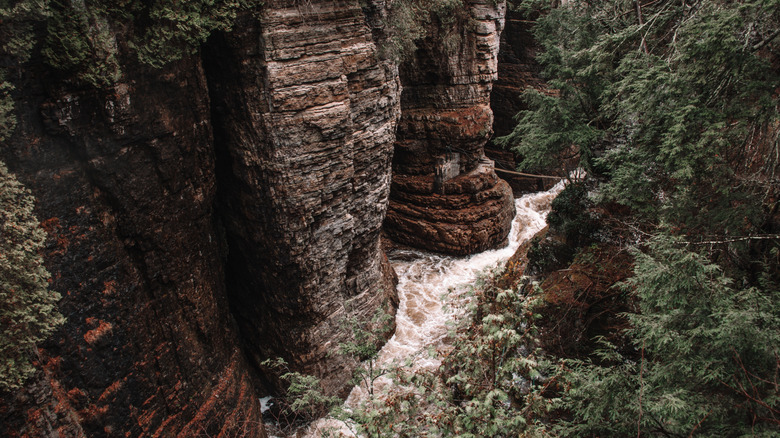 Aerial shot of Ausable Chasm