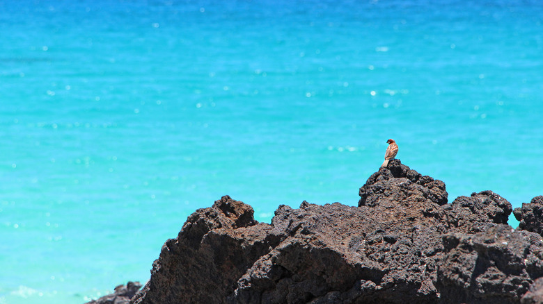 Manini Beach, Hawai'i