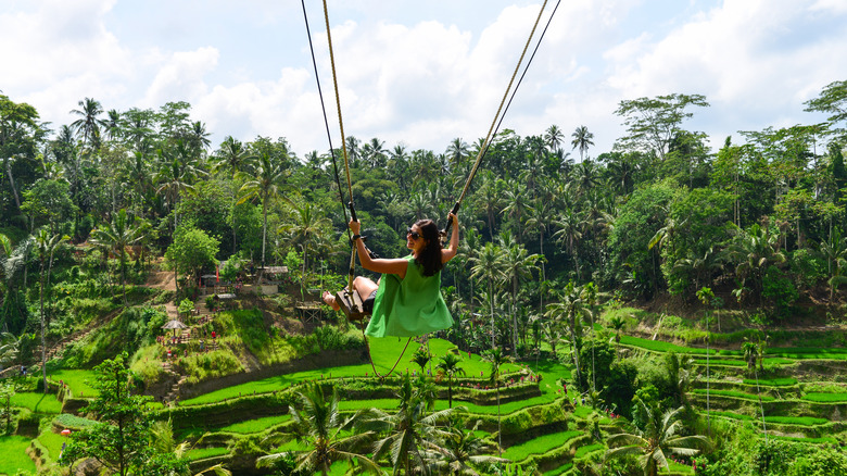 A swing over the rice fields