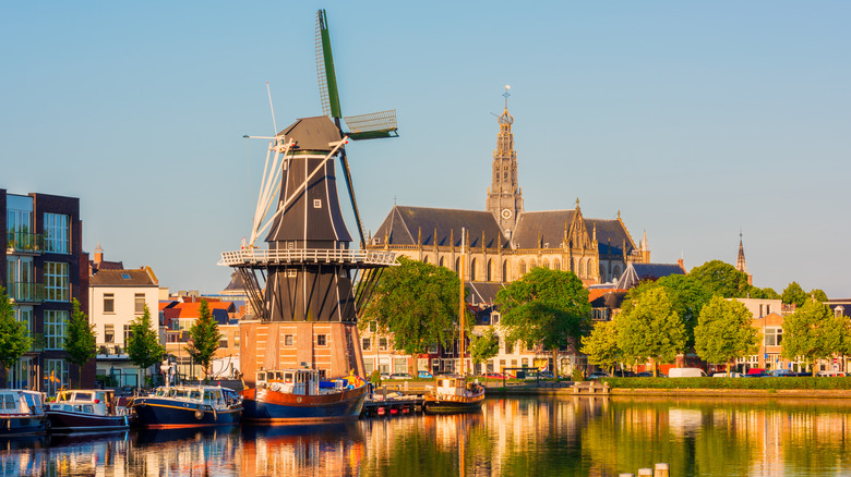 Haarlem, Netherlands skyline during day