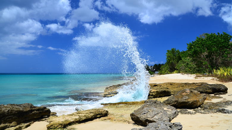 beach in St. Croix