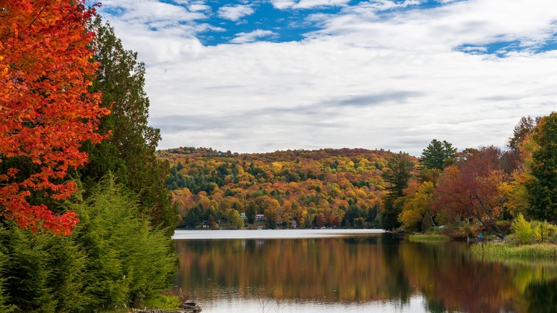 Lake in Barnard Vermont 