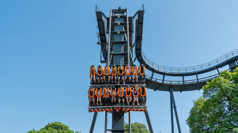 riders on a rollercoaster