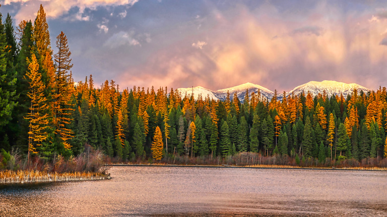 landscape of Whitefish, Montana